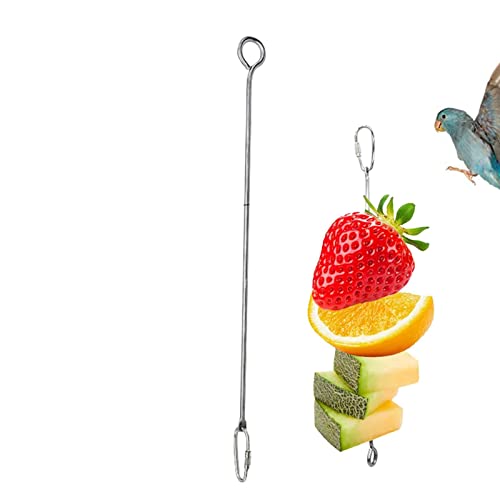Vogel-Fruchtspieß,Vogelkäfig-Futterspender aus Edelstahl | Vogelhäuschen-Spielzeug, Obst-Gemüse-Spieß, Lebensmittel-Fütterungs-Behandlungswerkzeug für Papageien, Kakadus, Nymphensittiche Ngumms von NGUMMS