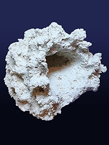 Große Anemonenhöhle liegend Höhle Riff Keramik Meerwasser Dekoration von NH-Riffkeramik