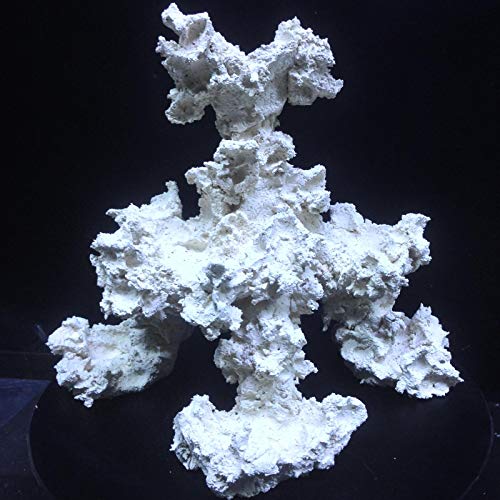 Korallen- Riff 25 cm Riffkeramik Meerwasser Aquarium Dekoration von NH-Riffkeramik