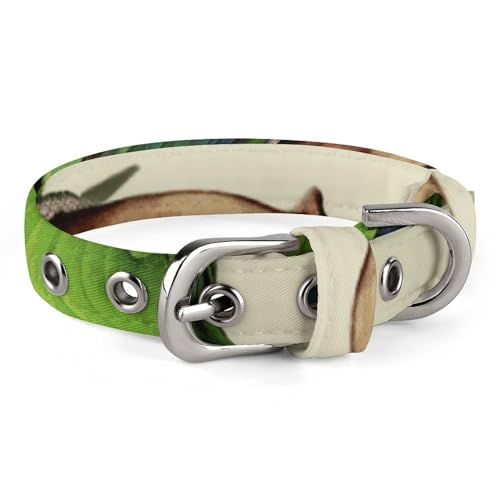 Haustier-Halsband, Papageien-Motiv, personalisierbar, für kleine und mittelgroße Hunde, verstellbare Größen Haustier-Halsband, Papageien-Motiv, personalisierbar, für kleine und mittelgroße Hunde, verstellbare Größen von NHYDSPQ