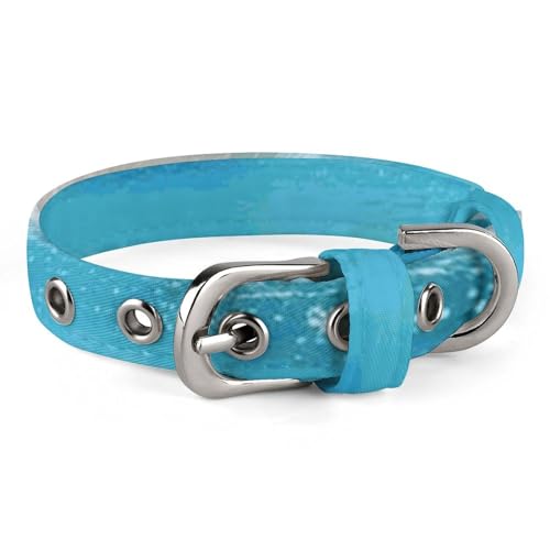Haustier-Halsband, heller Sonnenschein, Sommer, Strand, personalisierbar, für kleine und mittelgroße Hunde, verstellbare Größen Haustier-Halsband, heller Sonnenschein, Sommer, Strand, personalisierbar, für kleine und mittelgroße Hunde, verstellbare Größen von NHYDSPQ