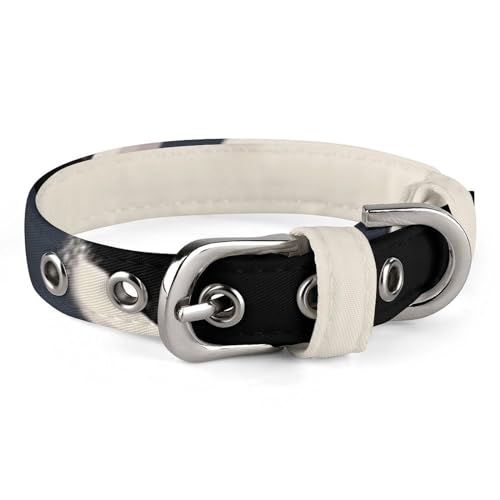 Haustier-Halsband, niedlicher Pinguinm-Druck, personalisierbar, für kleine und mittelgroße Hunde, verstellbare Größen Haustier-Halsband, niedlicher Pinguinm-Druck, personalisierbar, für kleine und mittelgroße Hunde, verstellbare Größen von NHYDSPQ