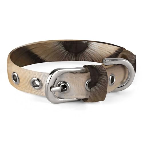 Haustier-Halsband, niedlicher Zwergspitz-Druck, personalisierbar, für kleine und mittelgroße Hunde, verstellbare Größen Haustier-Halsband, niedlicher Zwergspitz-Druck, personalisierbar, für kleine und mittelgroße Hunde, verstellbare Größen von NHYDSPQ