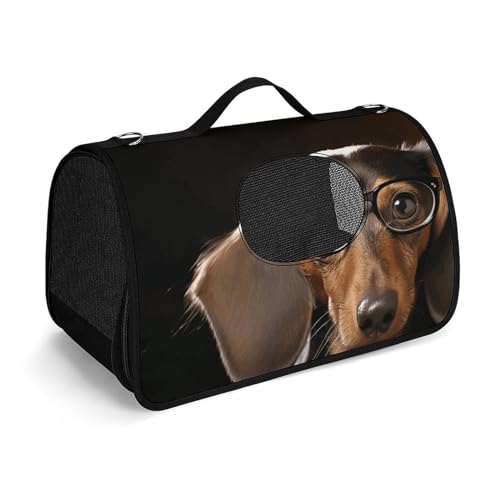 Haustier-Handtasche, Dackel-Druck, modische Hundetragetasche für Katzen und kleine Hunde, jede Reise und Outdoor-Aktivitäten. Haustier-Handtasche, Dackel-Druck, modische Hundetragetasche für Katzen und kleine Hunde, jede Reise und Outdoor-Aktivitäten. von NHYDSPQ