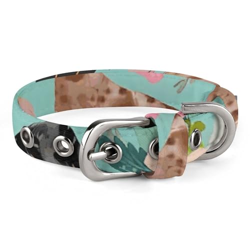 Haustierhalsband, Dackel-Druck, personalisierbar, für kleine und mittelgroße Hunde, verstellbare Größen Haustierhalsband, Dackel-Druck, personalisierbar, für kleine und mittelgroße Hunde, verstellbare Größen von NHYDSPQ