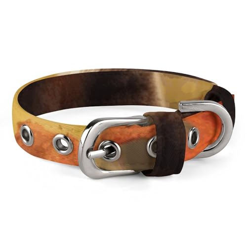 Haustierhalsband, brauner Bär im Herbst, personalisierbar, für kleine und mittelgroße Hunde, verstellbare Größen Haustierhalsband, brauner Bär im Herbst, personalisierbar, für kleine und mittelgroße Hunde, verstellbare Größen von NHYDSPQ