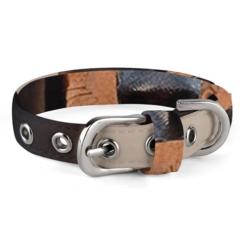 Hundehalsband mit Dackel-Aufdruck, personalisierbar, für kleine und mittelgroße Hunde, verstellbare Größen Hundehalsband mit Dackel-Aufdruck, personalisierbar, für kleine und mittelgroße Hunde, verstellbare Größen von NHYDSPQ