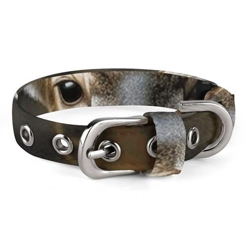 NHYDSPQ Haustier-Halsband, Camouflage-Hirsch-Druck, personalisierbar, für kleine und mittelgroße Hunde, verstellbare Größen, Stil 21 NHYDSPQ Haustier-Halsband, Camouflage-Hirsch-Druck, personalisierbar, für kleine und mittelgroße Hunde, verstellbare Größen, Stil 21 von NHYDSPQ