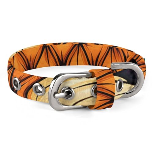 NHYDSPQ Haustier-Halsband, Couch-Druck, personalisierbares Haustierhalsband, Katzenhalsband für kleine und mittelgroße Hunde, verstellbare Größen, Stil 14 NHYDSPQ Haustier-Halsband, Couch-Druck, personalisierbares Haustierhalsband, Katzenhalsband für kleine und mittelgroße Hunde, verstellbare Größen, Stil 14 von NHYDSPQ