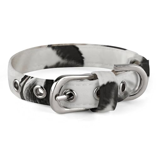 NHYDSPQ Haustier-Halsband, Dalmatiner-Druck, personalisierbares Haustierhalsband, Katzenhalsband für kleine und mittelgroße Hunde, verstellbare Größen, Stil 12 NHYDSPQ Haustier-Halsband, Dalmatiner-Druck, personalisierbares Haustierhalsband, Katzenhalsband für kleine und mittelgroße Hunde, verstellbare Größen, Stil 12 von NHYDSPQ