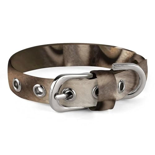 NHYDSPQ Haustier-Halsband, Katzen- und Schmetterlingsdruck, personalisierbar, für kleine und mittelgroße Hunde, verstellbare Größen, Stil 30 NHYDSPQ Haustier-Halsband, Katzen- und Schmetterlingsdruck, personalisierbar, für kleine und mittelgroße Hunde, verstellbare Größen, Stil 30 von NHYDSPQ