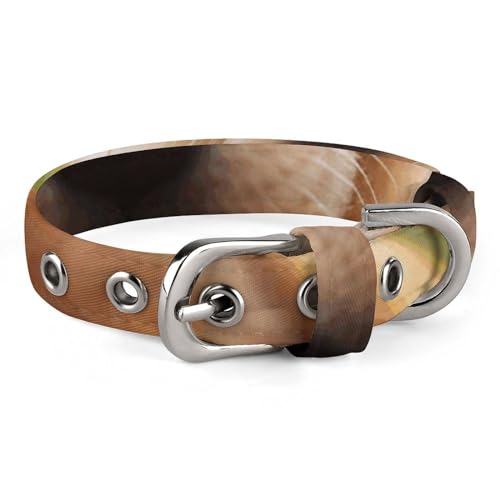 NHYDSPQ Haustier-Halsband, niedlicher Golden Retriever-Welpen-Aufdruck, personalisierbares Haustierhalsband für kleine und mittelgroße Hunde, verstellbare Größen, Stil 6 NHYDSPQ Haustier-Halsband, niedlicher Golden Retriever-Welpen-Aufdruck, personalisierbares Haustierhalsband für kleine und mittelgroße Hunde, verstellbare Größen, Stil 6 von NHYDSPQ