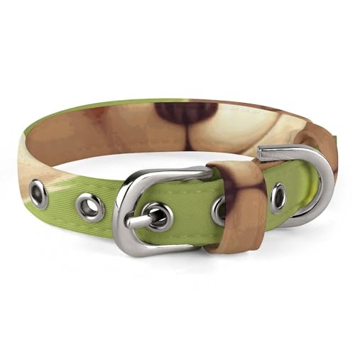 NHYDSPQ Haustier-Halsband, niedlicher kleiner Fuchs-Druck, personalisierbar, für kleine und mittelgroße Hunde, verstellbare Größen, Stil 15 NHYDSPQ Haustier-Halsband, niedlicher kleiner Fuchs-Druck, personalisierbar, für kleine und mittelgroße Hunde, verstellbare Größen, Stil 15 von NHYDSPQ