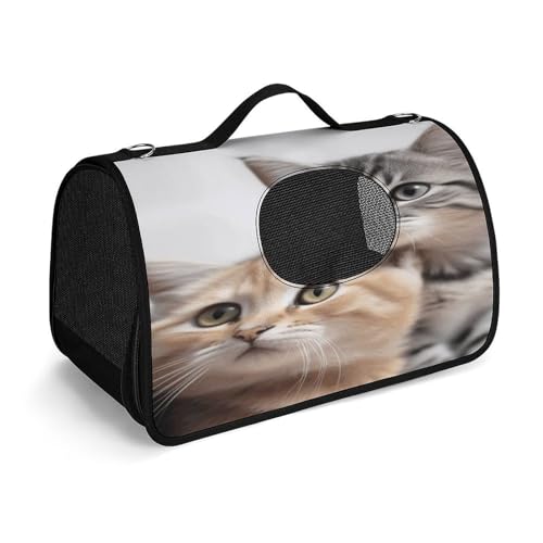NHYDSPQ Haustier-Handtasche, Katzen-Druck, modische Hundetragetasche für Katzen und kleine Hunde, jede Reise und Outdoor-Aktivität, 45 x 26 x 23,5 cm, Stil NHYDSPQ Haustier-Handtasche, Katzen-Druck, modische Hundetragetasche für Katzen und kleine Hunde, jede Reise und Outdoor-Aktivität, 45 x 26 x 23,5 cm, Stil von NHYDSPQ