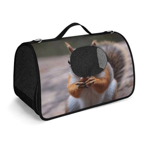 NHYDSPQ Haustier-Handtasche, niedlicher Eichhörnchen-Druck, modische Hundetragetasche für Katzen und kleine Hunde, jede Reise und Outdoor-Aktivität, 45 x 26 x 23,5 cm, Stil NHYDSPQ Haustier-Handtasche, niedlicher Eichhörnchen-Druck, modische Hundetragetasche für Katzen und kleine Hunde, jede Reise und Outdoor-Aktivität, 45 x 26 x 23,5 cm, Stil von NHYDSPQ