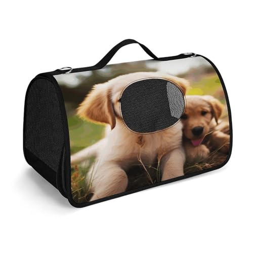 NHYDSPQ Haustier-Handtasche, niedlicher Golden Retriever-Welpen-Druck, modische Hundetragetasche für Katzen und kleine Hunde, jede Reise und Outdoor-Aktivität, 45 x 26 x 23,5 cm, Stil NHYDSPQ Haustier-Handtasche, niedlicher Golden Retriever-Welpen-Druck, modische Hundetragetasche für Katzen und kleine Hunde, jede Reise und Outdoor-Aktivität, 45 x 26 x 23,5 cm, Stil von NHYDSPQ