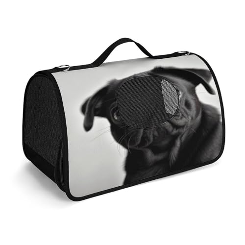 NHYDSPQ Haustier-Handtasche, niedlicher schwarzer Mops-Aufdruck, modische Hundetragetasche für Katzen und kleine Hunde, jede Reise und Outdoor-Aktivität, 45 x 26 x 23,5 cm, Stil NHYDSPQ Haustier-Handtasche, niedlicher schwarzer Mops-Aufdruck, modische Hundetragetasche für Katzen und kleine Hunde, jede Reise und Outdoor-Aktivität, 45 x 26 x 23,5 cm, Stil von NHYDSPQ