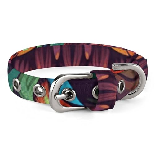 NHYDSPQ Hundehalsband mit buntem Eulenmuster, personalisierbar, für kleine und mittelgroße Hunde, verstellbare Größen, Stil 18 NHYDSPQ Hundehalsband mit buntem Eulenmuster, personalisierbar, für kleine und mittelgroße Hunde, verstellbare Größen, Stil 18 von NHYDSPQ