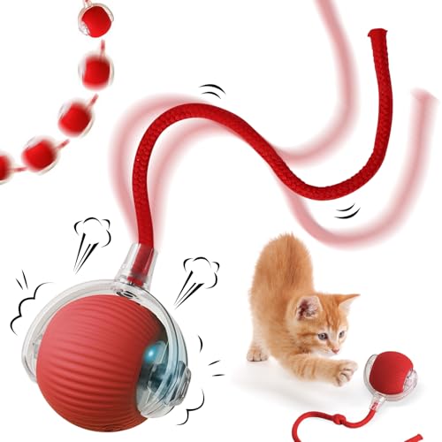 NHYDZSZ Interaktives Katzenspielzeug Katzenball, Katzenspielzeug Selbstbeschäftigung, katzenspielzeug Elektrisch mit USB, DREI Arbeitsmodi, 360° Rolling Smart Ball für Katzen von NHYDZSZ