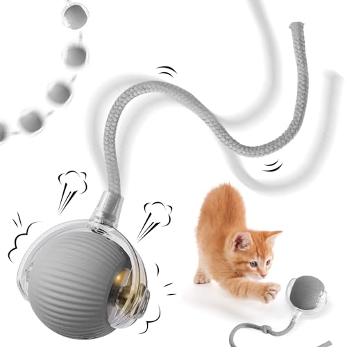 NHYDZSZ Interaktives Katzenspielzeug Katzenball, katzenspielzeug selbstbeschäftigung, Katzenball Elektrisch mit USB Aufladbar, DREI Arbeitsmodi, 360° Rolling Smart Ball für Katzen (C) von NHYDZSZ
