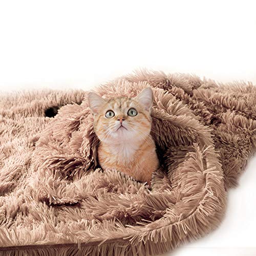 NIBESSER Hundedecke Plüsch Flauschige Decken für Hunde Doppeilseitige Haustierdecke Super Softe Warme und Weiche Decke Hundedecke Katzendecke von NIBESSER
