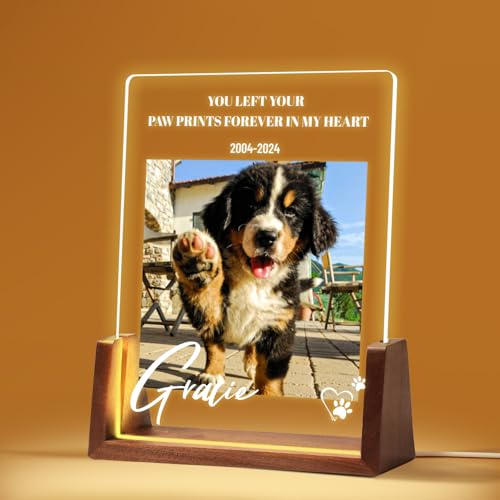 Personalisiert Gedenktafel für Haustiere Erinnerung LED Acrylglas mit Foto Hundandenken Geschenke Foto Nachtlampe Haustier Bilderrahmen für Katze und andere Haustiere Tiere von NIBESSER