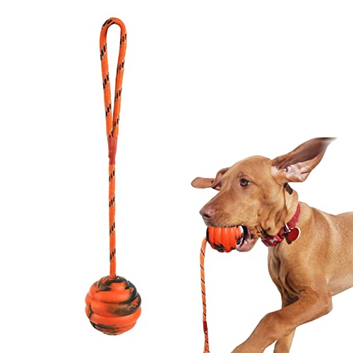 NICERAM Hundetrainingsball an einem Seil | Hundetrainingsball auf einem Seil Happy Playtime | Hundetrainingsball am Seil, Übungs- und Belohnungswerkzeug, glückliche Spielzeit, Kautraining von NICERAM