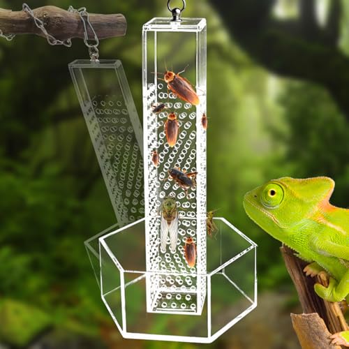 NICERINC PET Chamäleon-Futternapf, hängend, transparent, Acryl, Bartagamen-Futterspender, Haken-Futterspender für Eidechsen, zum Klettern, geeignet für Eidechse, Leguan, Gecko, Bartagame von NICERINC PET