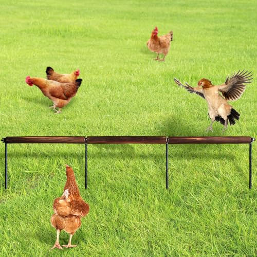 Hühnerspielzeug, extra lange Hühner-Sitzstange, Hölzern, Hühnerwurzeln und Sitzstangen, Trainingsstange für Geflügel, Hahn, Küken, große Vögel, Küken, Papageien, 114 cm lang (antike Farbe) von NICERINC PET