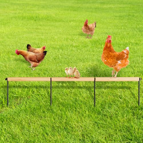 Hühnerspielzeug, extra lange Hühner-Sitzstange, Holz-Hähnchenwurzeln und Sitzstangen, Trainingsstange für Geflügel, Hahn, Küken, große Vögel, Küken, Papageien, 114 cm lang (natürliche Holzfarbe) Hühnerspielzeug, extra lange Hühner-Sitzstange, Holz-Hähnchenwurzeln und Sitzstangen, Trainingsstange für Geflügel, Hahn, Küken, große Vögel, Küken, Papageien, 114 cm lang (natürliche Holzfarbe) von NICERINC PET