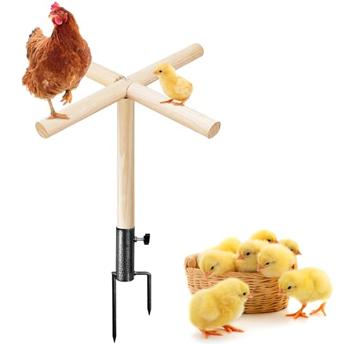 Hühnerstange Spielzeug für Stall, Roosting Bars für Hühner im Stall, Holz Küken Barsch Ständer mit Metall-Bodenstopfen Hühnerlaufspielzeug Hühnerstall Zubehör Hühnerstange Spielzeug für Stall, Roosting Bars für Hühner im Stall, Holz Küken Barsch Ständer mit Metall-Bodenstopfen Hühnerlaufspielzeug Hühnerstall Zubehör von NICERINC PET
