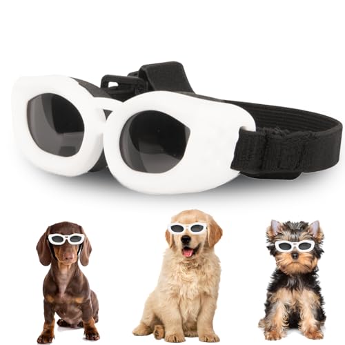 Hundebrille für kleine Rassen, UV-/Wind-/Staub-/Nebelschutz, Haustier-Sonnenbrille mit verstellbarem Riemen, Outdoor-Sonnenbrille für kleine Hunde, leicht zu tragen, weiche Hundebrille Hundebrille für kleine Rassen, UV-/Wind-/Staub-/Nebelschutz, Haustier-Sonnenbrille mit verstellbarem Riemen, Outdoor-Sonnenbrille für kleine Hunde, leicht zu tragen, weiche Hundebrille von NICERINC PET