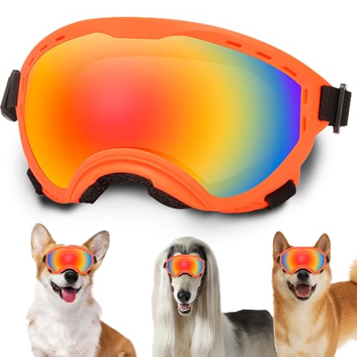 Hundebrille mit verstellbarem Band, UV-Schutz, windgeschützte Welpen-Sonnenbrille Ideal zum Schutz der Hundeaugen – Weiche, Bequeme Hundebrille Hundebrille mit verstellbarem Band, UV-Schutz, windgeschützte Welpen-Sonnenbrille Ideal zum Schutz der Hundeaugen – Weiche, Bequeme Hundebrille von NICERINC PET
