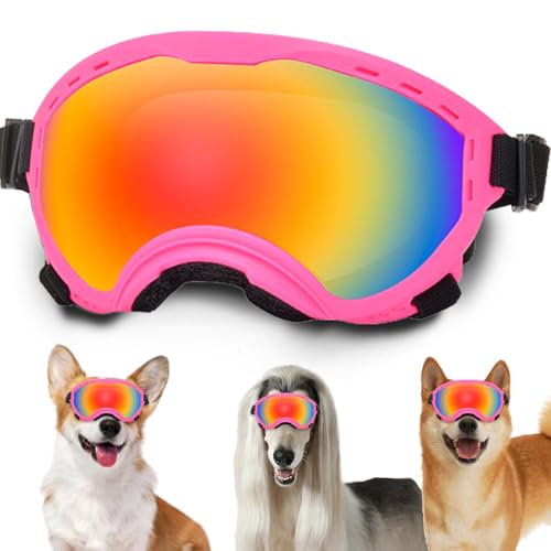 Hundebrille mit verstellbarem Band, UV-Schutz, windgeschützte Welpen-Sonnenbrille Ideal zum Schutz der Hundeaugen – Weiche, Bequeme Hundebrille Hundebrille mit verstellbarem Band, UV-Schutz, windgeschützte Welpen-Sonnenbrille Ideal zum Schutz der Hundeaugen – Weiche, Bequeme Hundebrille von NICERINC PET
