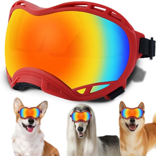 Hundesonnenbrille, Doggles UV-Schutz – Haustier-Sonnenbrille mit verstellbarem Band Geeignet für Motorrad, Auto, Fahrrad, Wandern, Schwimmen – Schutz vor Wind, Staub und Nebel für Hundeaugen Hundesonnenbrille, Doggles UV-Schutz – Haustier-Sonnenbrille mit verstellbarem Band Geeignet für Motorrad, Auto, Fahrrad, Wandern, Schwimmen – Schutz vor Wind, Staub und Nebel für Hundeaugen von NICERINC PET