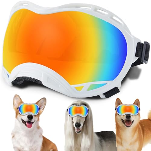 Hundesonnenbrille, Doggles UV-Schutz – Haustier-Sonnenbrille mit verstellbarem Band Geeignet für Motorrad, Auto, Fahrrad, Wandern, Schwimmen – Schutz vor Wind, Staub und Nebel für Hundeaugen Hundesonnenbrille, Doggles UV-Schutz – Haustier-Sonnenbrille mit verstellbarem Band Geeignet für Motorrad, Auto, Fahrrad, Wandern, Schwimmen – Schutz vor Wind, Staub und Nebel für Hundeaugen von NICERINC PET