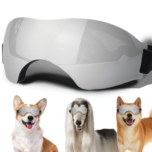 Mittelgroße Hundesonnenbrille, Hundebrille mit verstellbarem Riemen, UV-Schutz, winddicht, geeignet für mittelgroße Hunde, Haustierbrillen, Augenschutz von NICERINC PET