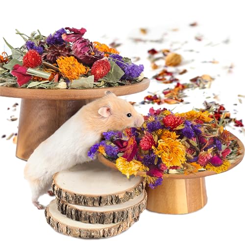 NICERINC PET Natürliche Blumen- und Kräuter-Bettwäsche Mate Habitat-Dekor, fügt Spaß Hamster Zubehör für Hamster Rennmäuse Lemming hinzu NICERINC PET Natürliche Blumen- und Kräuter-Bettwäsche Mate Habitat-Dekor, fügt Spaß Hamster Zubehör für Hamster Rennmäuse Lemming hinzu von NICERINC PET