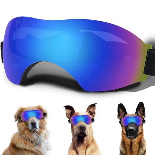 Sonnenbrille für kleine Hunde, mit verstellbarem Riemen, UV-Schutz, winddicht, schneefest von NICERINC PET