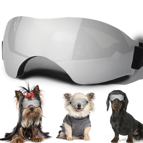 Sonnenbrille für kleine Hunde, mit verstellbarem Riemen, UV-Schutz, winddicht, geeignet für kleine Hunde, Haustierbrillen, Augenschutz Sonnenbrille für kleine Hunde, mit verstellbarem Riemen, UV-Schutz, winddicht, geeignet für kleine Hunde, Haustierbrillen, Augenschutz von NICERINC PET