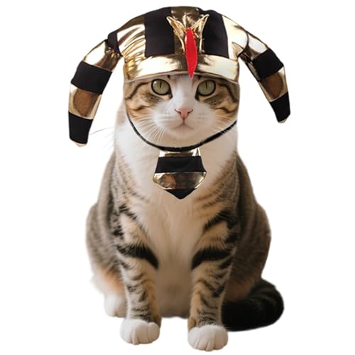 Ägyptisches Haustierkostüm, verstellbares Haustierkostüm, Zubehör mit Pharaonenhut und Bandana, Halloween, Gold, ägyptischer Pharaonenhut, Set für Katzen, kleine Hunde Ägyptisches Haustierkostüm, verstellbares Haustierkostüm, Zubehör mit Pharaonenhut und Bandana, Halloween, Gold, ägyptischer Pharaonenhut, Set für Katzen, kleine Hunde von NICEYEA