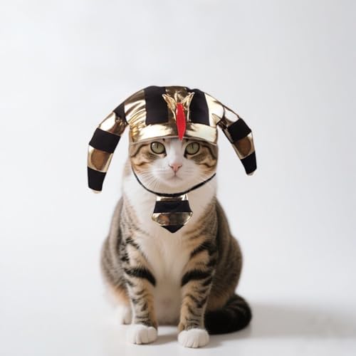 Ägyptisches Haustierkostüm,Pharao Zubehör für Haustiere,Verstellbares Haustierkostüm Zubehör mit Pharao Hut und Turban,Für Katzen und kleine Hunde,Karneval,Halloween,Shooting Requisiten von NICEYEA