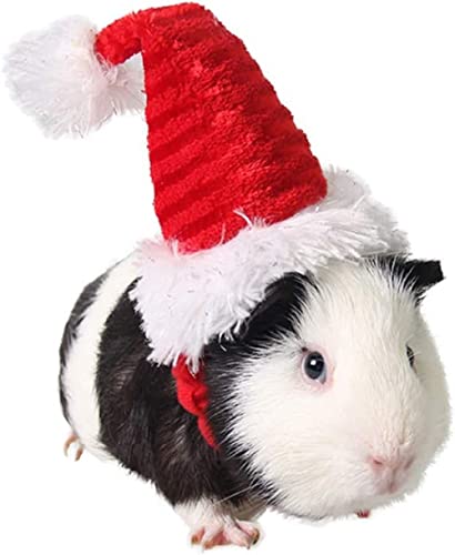 Meerschweinchen Rot Weihnachtsmütze Katze Kostüm Haustier Regenbogen-Streifen Weihnachtsmütze Weihnachtsmann Mütze Kopf Zubehör für Kaninchen Hamster Hase Ratten Kätzchen und Kleintiere von NICEYEA