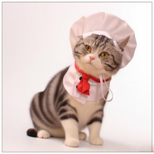 Pet Chef Kostüme - Kleidung mit Kochmütze Set, Katze und Hund Haustier Kostüme, Rollenspiel, niedlich Haustier Koch verkleiden, geeignet für Dress up Fotoshootings und Partys Pet Chef Kostüme - Kleidung mit Kochmütze Set, Katze und Hund Haustier Kostüme, Rollenspiel, niedlich Haustier Koch verkleiden, geeignet für Dress up Fotoshootings und Partys von NICEYEA