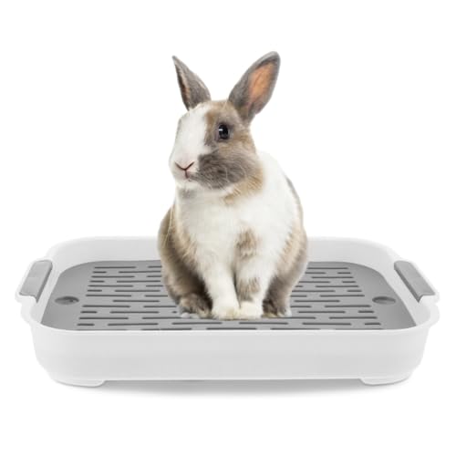 Kaninchenstrauder Tablett 2 Tier Kaninchendrüsenkasten Plastik Rechteckige Hasen -Haustier -Toilette 7.3x10.6x1,3 Zoll Töpfchen -Trainer Bettwäsche -Box für Meerschweinchen -Hasenfrettchen Hamster He Kaninchenstrauder Tablett 2 Tier Kaninchendrüsenkasten Plastik Rechteckige Hasen -Haustier -Toilette 7.3x10.6x1,3 Zoll Töpfchen -Trainer Bettwäsche -Box für Meerschweinchen -Hasenfrettchen Hamster He von NIDONE