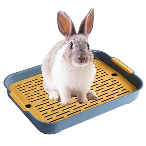 Kaninchenstrauder Tablett 2 Tier Rabbit Müllbox Rechteck rechteckige Hasen Pier -Toiletten -Meerschweinchen -Wurfschale Töpfchen -Trainer Forbunny Frettchen Hamster Hedgehog Blau L 9.7x14.4x2 Kaninchenstrauder Tablett 2 Tier Rabbit Müllbox Rechteck rechteckige Hasen Pier -Toiletten -Meerschweinchen -Wurfschale Töpfchen -Trainer Forbunny Frettchen Hamster Hedgehog Blau L 9.7x14.4x2 von NIDONE