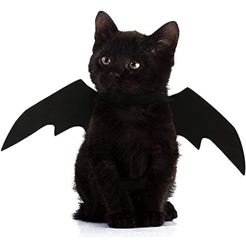 Halloween-Kostüm für Hunde und Katzen, Vampirflügel, Fledermausflügel für Katzen, Hunde, Halsumfang von 25–35 cm und Brustumfang von 45–65 cm von NIEBYI