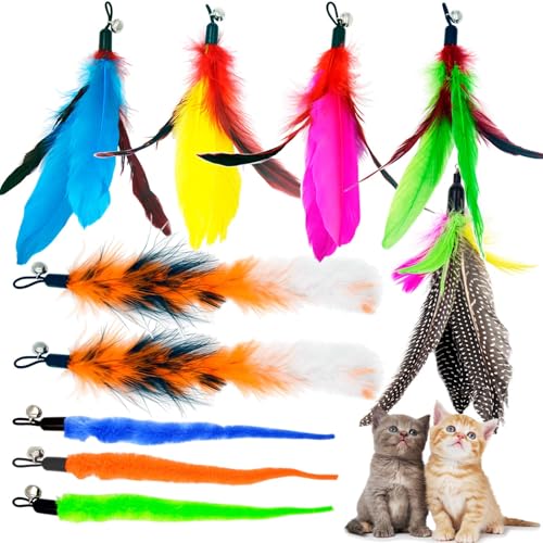 Katzenfederspielzeug Nachfüllungen, 10 Stück Würmer Federn Nachfüllungen, Katzenstab-Ersatzfedern Spielzeug für Indoor-Katzen von NIEBYI