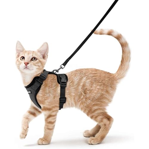 Katzengeschirr und Leine zum Spazierengehen, ausbruchsicher, weich, verstellbar, für Katzen, einfache Kontrolle, atmungsaktiv, reflektierende Streifen, Schwarz von NIEBYI