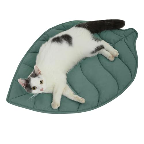 NIEBYI Katzenbett aus Baumwolle, 76,2 x 50,8 cm, Blattform, wärmende Katzenmatte, Haustier-Wärmematte für Wild- und Indoor-Katzen, 2025 vergrößerte und verdickte Blattbetten NIEBYI Katzenbett aus Baumwolle, 76,2 x 50,8 cm, Blattform, wärmende Katzenmatte, Haustier-Wärmematte für Wild- und Indoor-Katzen, 2025 vergrößerte und verdickte Blattbetten von NIEBYI